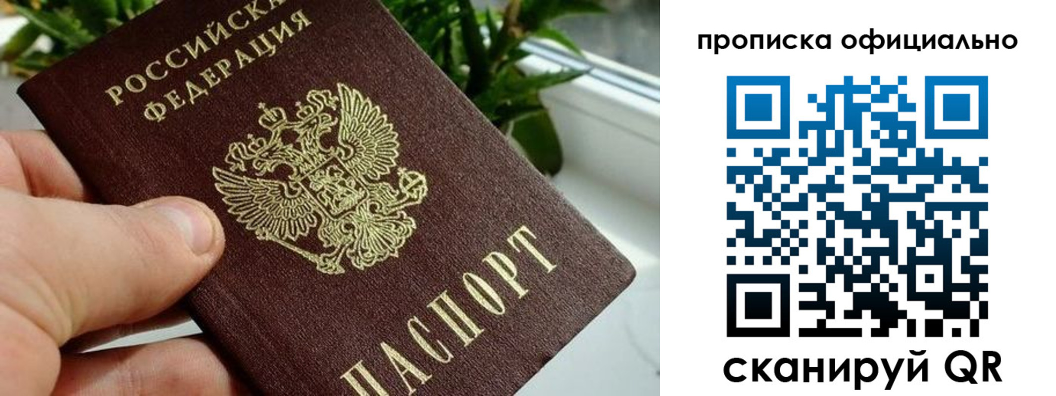 прописка поиск в Вятских Полянах